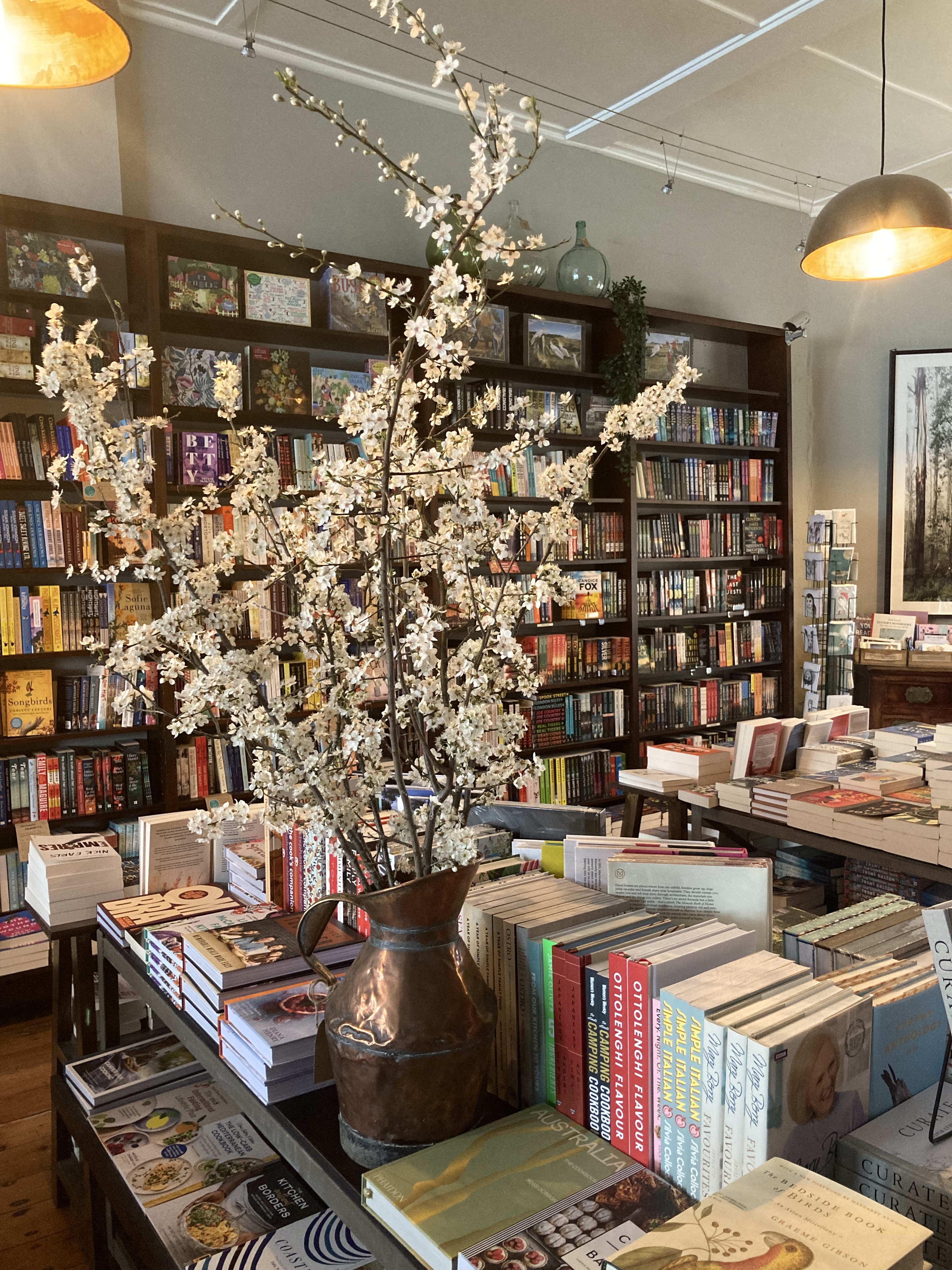 Episode 2: Ink Bookshop (pictures) – Paper Defiance